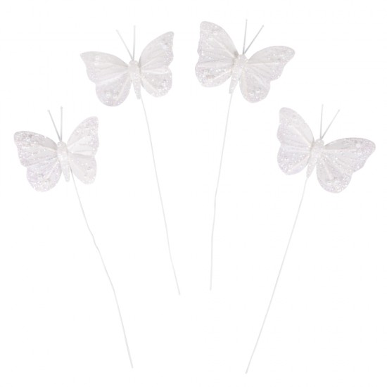 Feathery butterfly glimmerosu