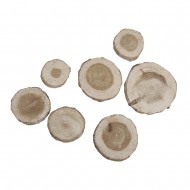 Felie lemn, Rayher, 3-5 cm