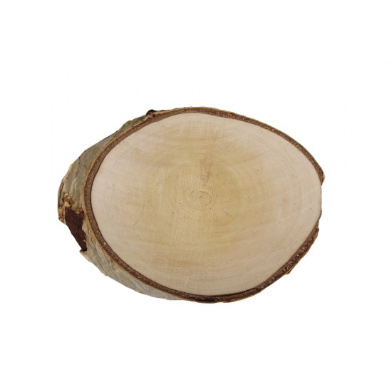 Felie lemn, Rayher, 15-17 cm
