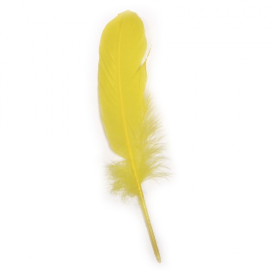 Pene decorative Rayher, dimensiune 16-20 cm, 8/set, culoare galben