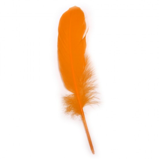 Pene decorative Rayher, dimensiune 16-20 cm, 8/set, culoare portocaliu