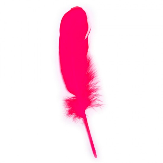 Pene decorative Rayher, dimensiune 16-20 cm, 8/set, culoare roz