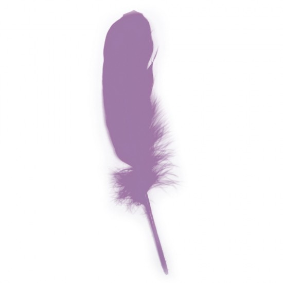 Pene decorative Rayher, dimensiune 16-20 cm, 8/set, culoare violet