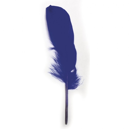 Pene decorative Rayher, dimensiune 16-20 cm, 8/set, culoare albastru regal