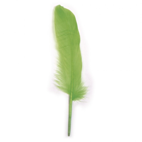 Pene decorative Rayher, dimensiune 16-20 cm, 8/set, culoare verde deschis