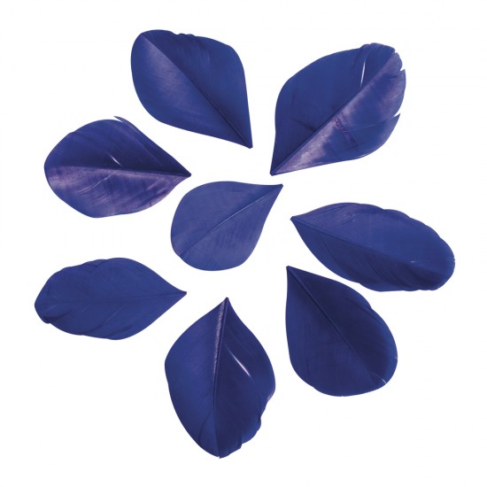 Pene decorative Rayher, dimensiune 5 - 6 cm, 36/set, culoare albastru regal