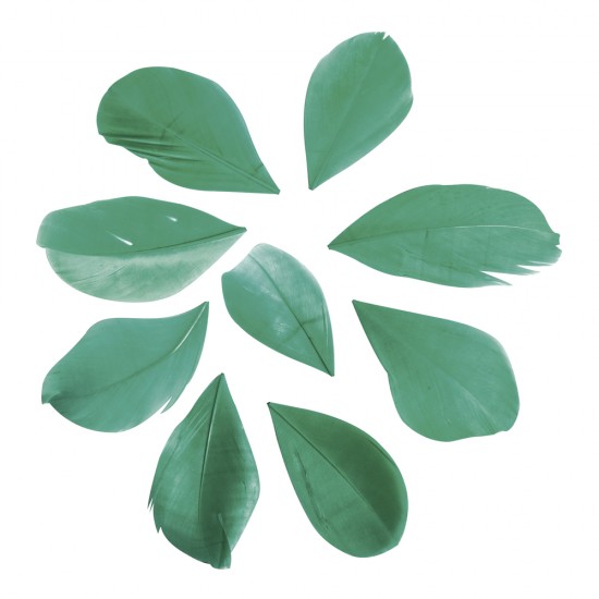 Pene decorative Rayher, dimensiune 5 - 6 cm, 36/set, culoare verde pin