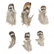 Pene de fazan Rayher, 7.5-13cm, 6/set