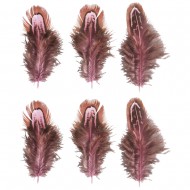 Pene Rayher, dimensiune 5-10cm, maro/roz, 6/set