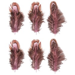 Pene Rayher, dimensiune 5-10cm, maro/roz, 6/set