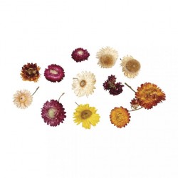 Flori uscate 10 g, Rayher