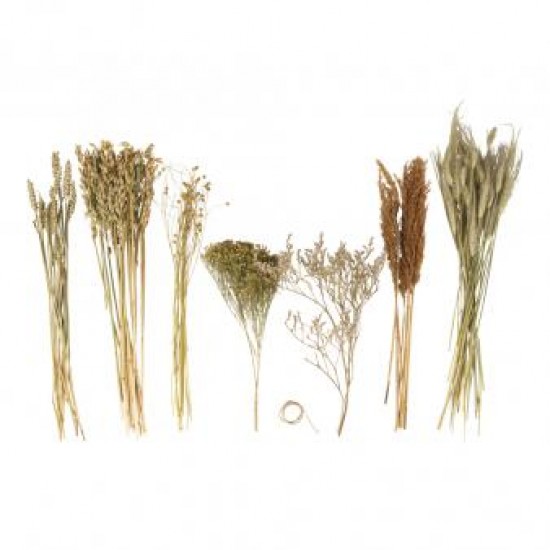 Mix de flori uscate, cutie,Rayher