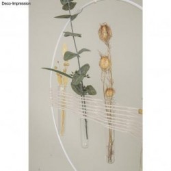 Eprubeta  Rayher, diam.2 cm, inaltime 12 cm, 5/set