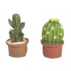 Floare artificiala, Rayher, 6 piese, cactusi in ghiveci, 1.5x1.5x3 cm