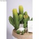 Floare artificiala, Rayher, 3 piese, cactus, 7.5-10 cm