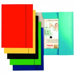 Mapa ESSELTE Economy din carton cu elastic - rosu