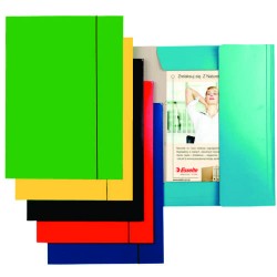 Mapa ESSELTE Economy din carton cu elastic - verde