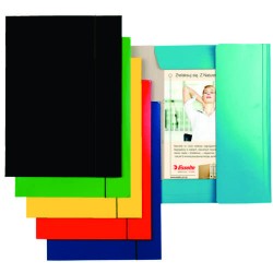 Mapa ESSELTE Economy din carton cu elastic - negru