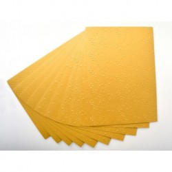 Carton METALIC EMBOSAT, A4, 250g/mp, 2 coli x 5 modele/set, AURIU